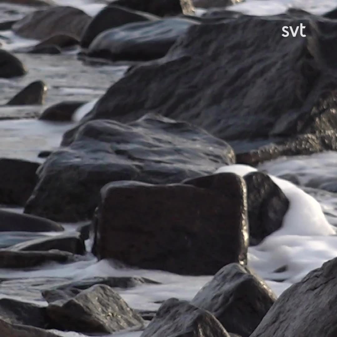 Linnéa från Falkenberg har skrivit två böcker om tsunamin: ”en bearbetningsprocess”
