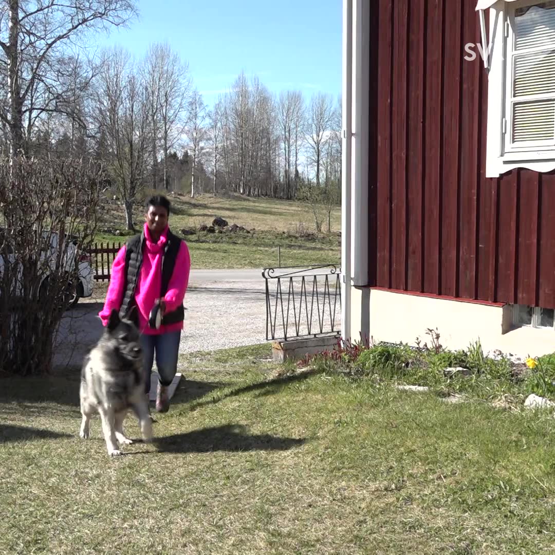 Fler tveksamma till att skaffa barn – Annica steriliserade sig